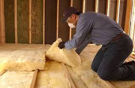 Best Insulation for Existing Homes  in Elsmere, DE