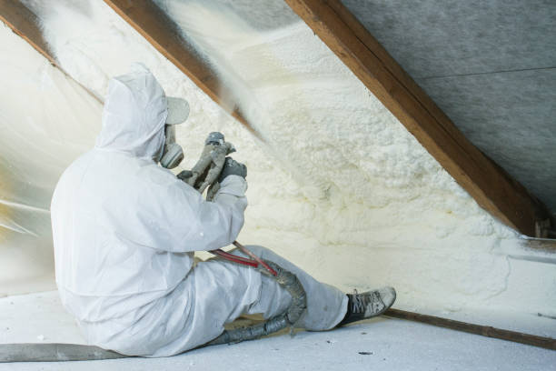 Best Attic Insulation Installation  in Elsmere, DE